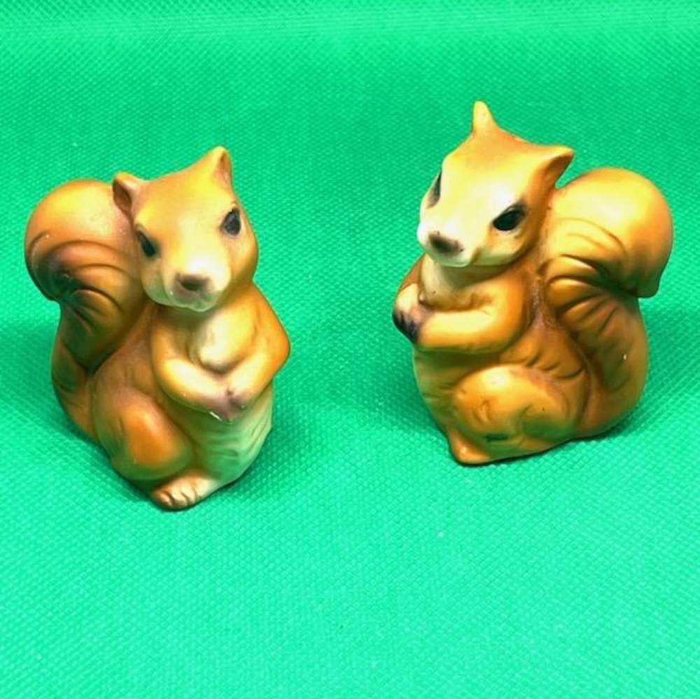 Pair of Cute Squirrel Salt & Pepper Shakers